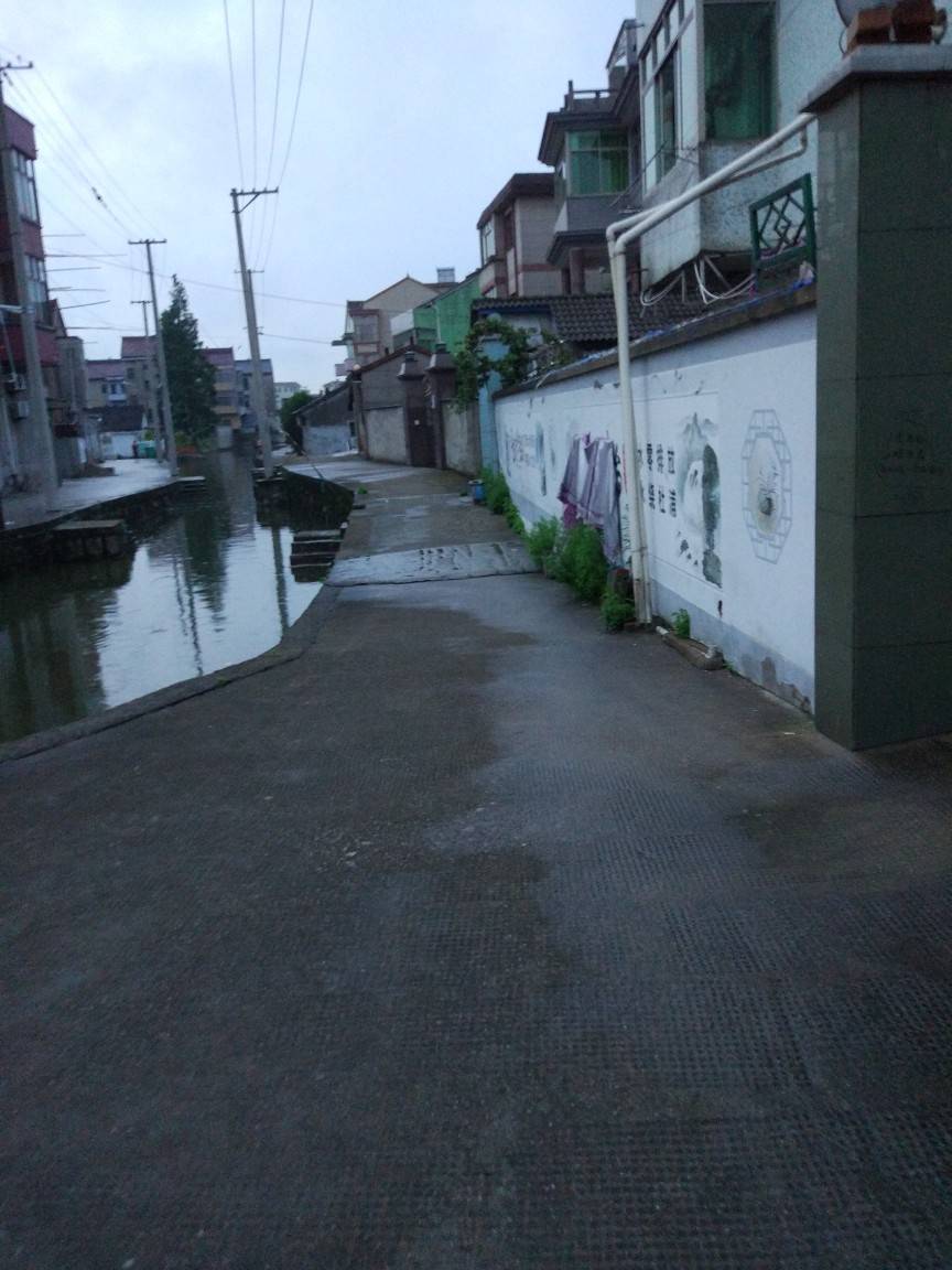 道墟镇杜浦村