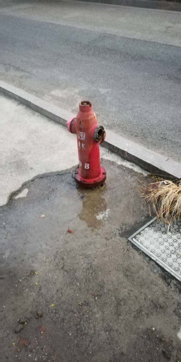 呼叫园林公司,消防栓漏水