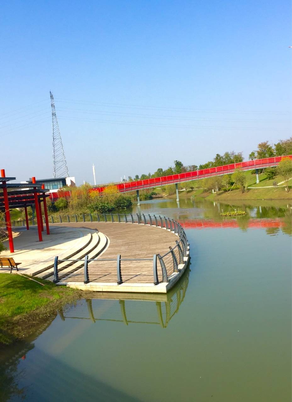 鹿邑上清湖公园图片